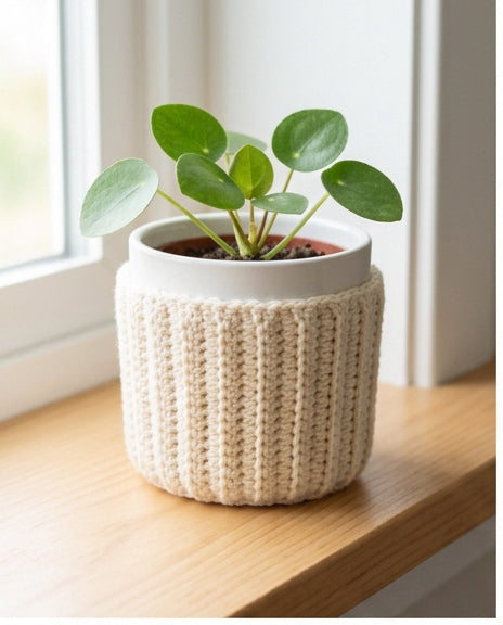 Simple ribbed cream crochet plant pot cover around a small leafy plant